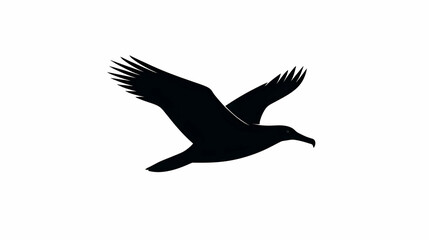 Obraz premium Silhouette of a Flying Bird Against a Minimalist White Background