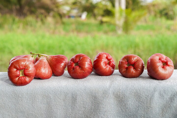 A bunch of Rose apples or chomphu fruit on a table