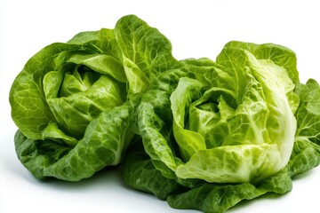 Fresh Green Lettuce Heads with Bright Color on White Background for Healthy Eating Concepts