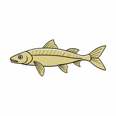 barbel fish vector illustration