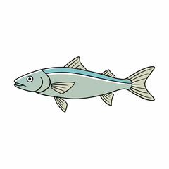 barbel fish vector illustration