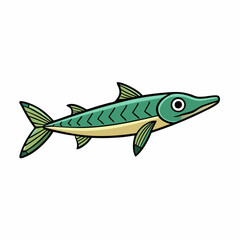 barracuda fish isolated on white