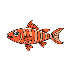 cardinalfish on a white background