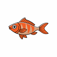 cardinalfish on a white background