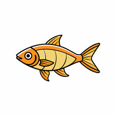 cardinalfish on a white background