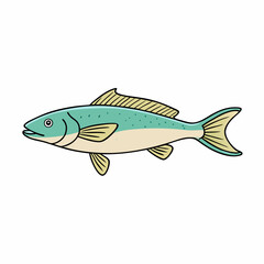 cod fish vector illustration