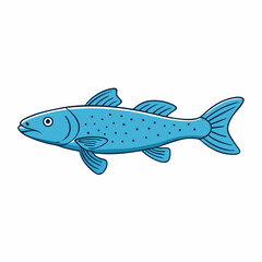 coelacanth fish on a white background