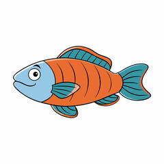 gourami fish on a white background