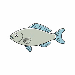 gourami fish on a white background