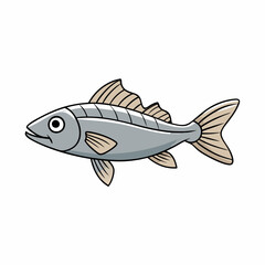 grayling fish on a white background