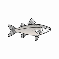 grayling fish on a white background