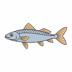 grayling fish on a white background
