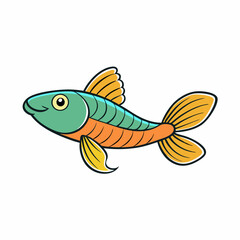 guppy fish on a white background