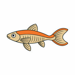 guppy fish on a white background