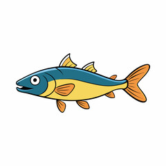 haddock fish on a white background