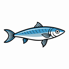herring fish vector illustration