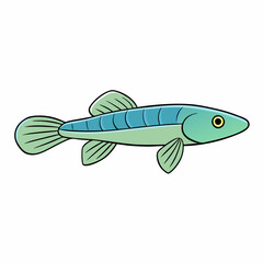 killifish on a white background