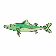 vector illustration of a pike fish