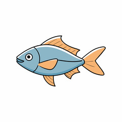 platy fish on a white background