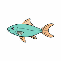 platy fish on a white background