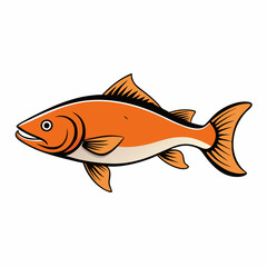 salmon fish on a white background