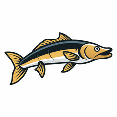 snook fish vector illustration