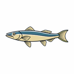 snook fish vector illustration