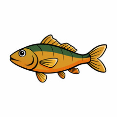 tench fish on a white background