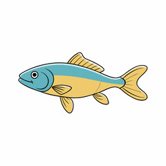 tench fish on a white background