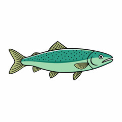 vector illustration of a trout fish