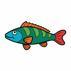 wrasse fish on a white background