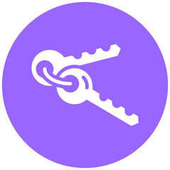 Vector Design Key Icon Style