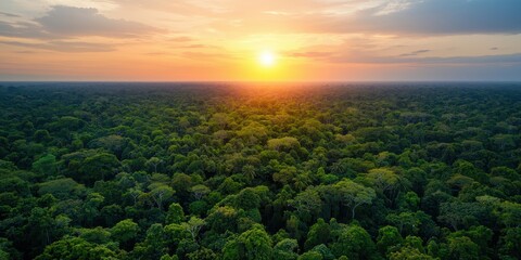 Fototapeta premium A breathtaking view of a sunset over a lush green forest, capturing the beauty of nature in vibrant colors.