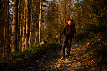 Fully equipped hiker enjoying sunrise early in the morning in the mountains. Hiker man with backpack hiking in spring forest. Hiking concept. A young traveler with a backpack walk through the woods.