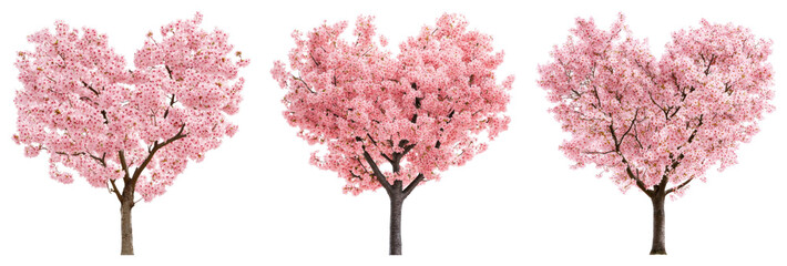 PNG Heart-shaped cherry blossom trees, element set on transparent background