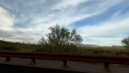 Arizona Driving 1688 Tempe Sunflower