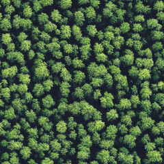 Seamless aerial forest texture with lush green tree canopy, natural organic pattern, ideal for backgrounds, environmental designs, and 3D materials, detailed and realistic foliage surface