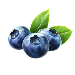Obraz premium Fresh blueberries with leaves