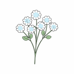 bouquet of white gypsophila flowers