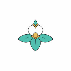 vector illustration of a jasmine flower