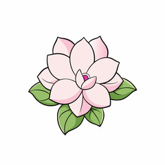 magnolia flower vector illustration