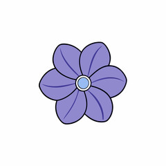 vector illustration of a periwinkle flower