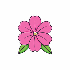 phlox flower on white background