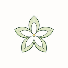 vector illustration of a stephanotis flower