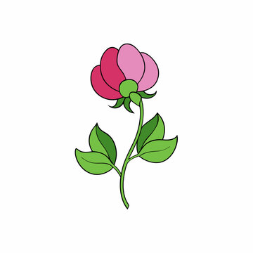 Pea Blossom clip art preview