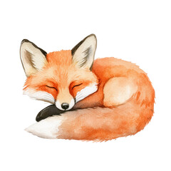 Obraz premium a charming illustration of a sleeping fox featuring soft orange and white watercolor details conveying a sense of tranquility and warmth