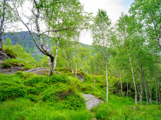 Impressionen vom Naturparadies Eidslandet in Norwegen