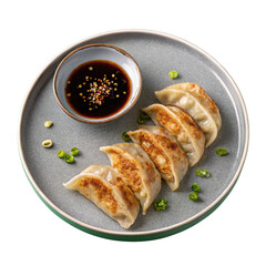 A delicious serving of gyoza