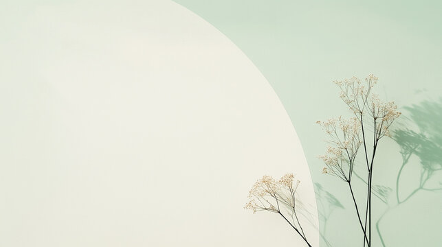 Design made with dried flowers, soft natural light, flat lay，Suitable for environmentally friendly packaging, low-carbon life, congratulatory cards, etc.