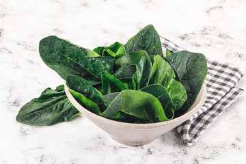 Ripe green spinach leaves heap